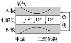图片_x0020_2079845371