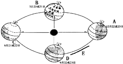 图片_x0020_100010