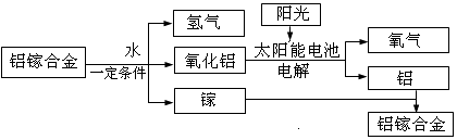 图片_x0020_576296607