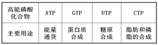 图片_x0020_100004