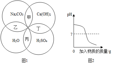 图片_x0020_1749231040