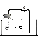 图片_x0020_448010081