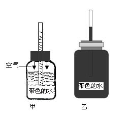 图片_x0020_100009