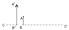 图片_x0020_100028
