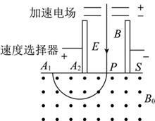 图片_x0020_100014