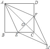 图片_x0020_1317312091