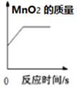 图片_x0020_100011