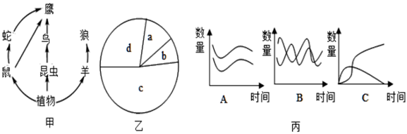 图片_x0020_100010