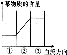_x0000_i1044