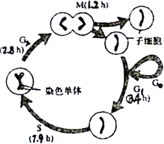 图片_x0020_100028
