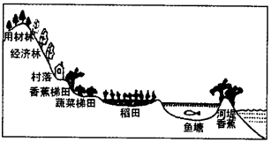 图片_x0020_100005