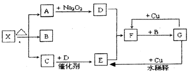 图片_x0020_100015