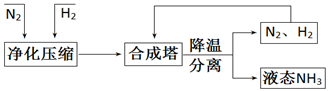 图片_x0020_100011