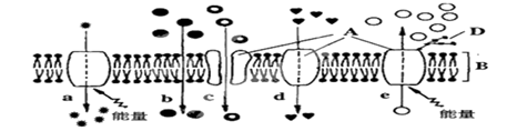 图片_x0020_100029