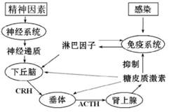 图片_x0020_882329928