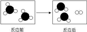 图片_x0020_100019