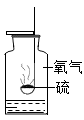 图片_x0020_1931363900