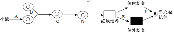 图片_x0020_1045736109