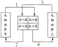 _x0000_i1035