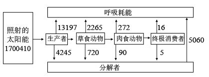 图片_x0020_506823148