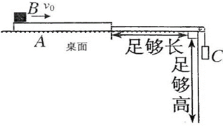 图片_x0020_100020