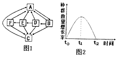 图片_x0020_100022