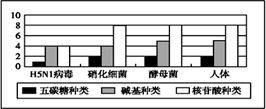 图片_x0020_1051916496
