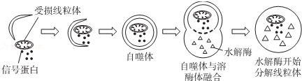 图片_x0020_127659175