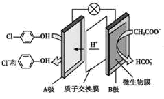 图片_x0020_100013