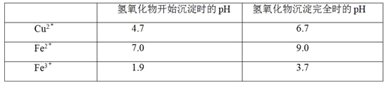 图片_x0020_100023