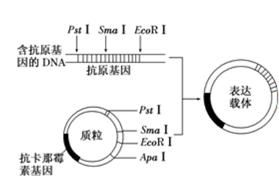 图片_x0020_100019