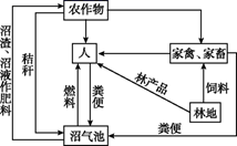 图片_x0020_100016
