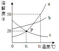 图片_x0020_100001