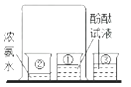 图片_x0020_40