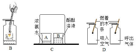 图片_x0020_100023