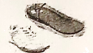 图片_x0020_100001