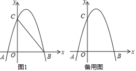 图片_x0020_100028