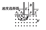 图片_x0020_1094304149