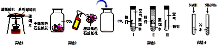 图片_x0020_100011