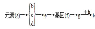 图片_x0020_81038886
