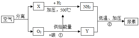 图片_x0020_100013