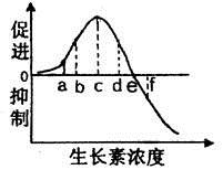 图片_x0020_312791923