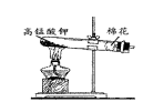 图片_x0020_2119205701