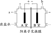 图片_x0020_100032