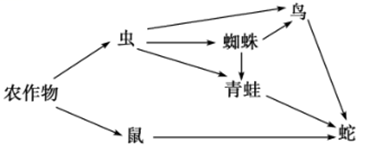 图片_x0020_1504806851