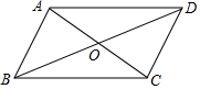 图片_x0020_100013