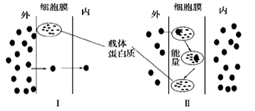 图片_x0020_2090895352