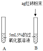 图片_x0020_108723526