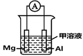 图片_x0020_100007