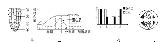 图片_x0020_1499384360